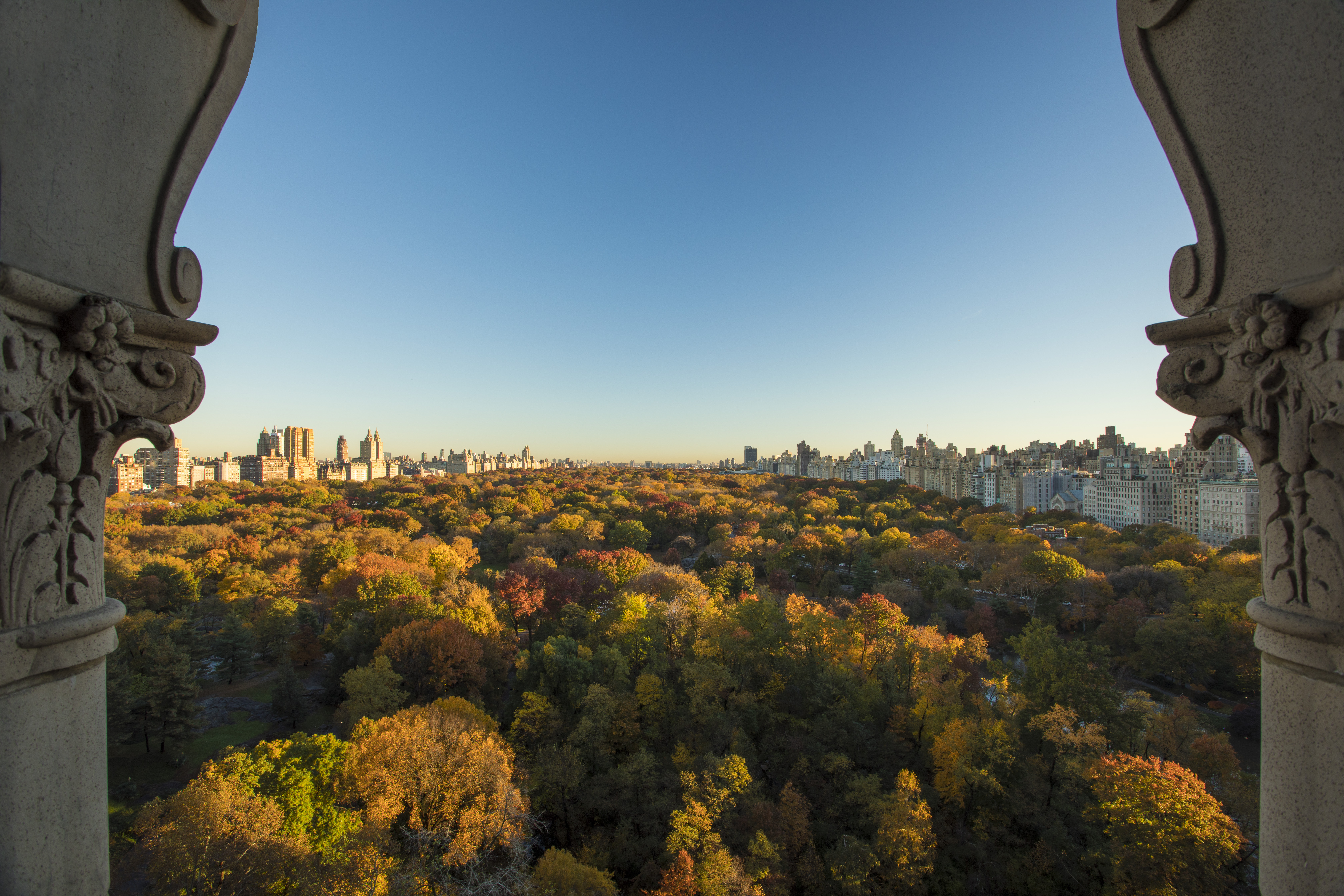 Central Park View - Architecture (Fall)